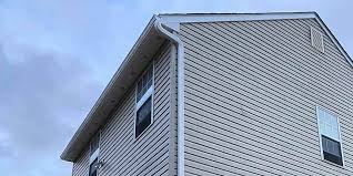 Best Vinyl Siding Installation  in Lake Helen, FL